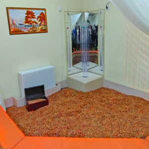 янтарная комната янтарный бассейн янтарная терапия